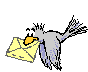 Mail A3